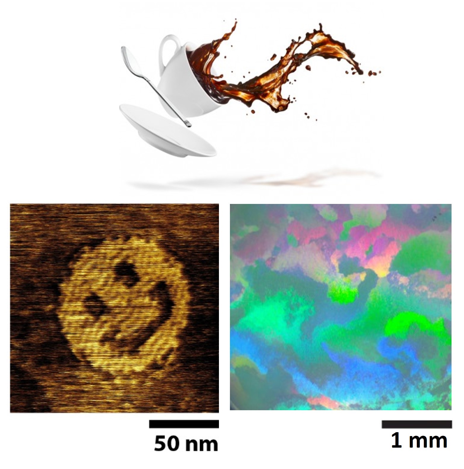 Reconfigurable self-assembly: from evolutive DNA assemblies to coffee-ring fortune telling and living colloidal crystals