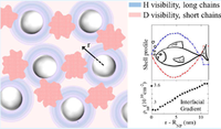 Polymer structure(s) seen by scattering: microgels and nanocomposites