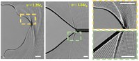 Supershear cracks in Tensile Fracture: How fast can materials break?