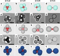 Controlling flexibility and valence of colloidal molecules 