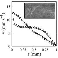 Influence of Boundary Conditions on Yielding in a Soft Glassy Material