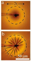 Mechanical instability of membranes