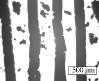 Structuring dynamics in attractive gels