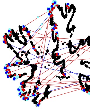 Biological and genomic signals and images 