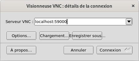 ../_images/vncclient.png