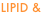 shapeimage_16_link_0