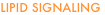 shapeimage_4_link_0