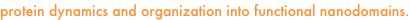 shapeimage_19_link_38