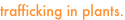 shapeimage_19_link_40
