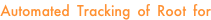 shapeimage_19_link_41
