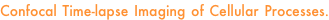 shapeimage_19_link_42