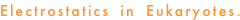 shapeimage_19_link_48