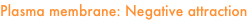 shapeimage_19_link_50