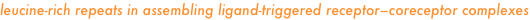 shapeimage_19_link_62