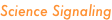 shapeimage_19_link_63