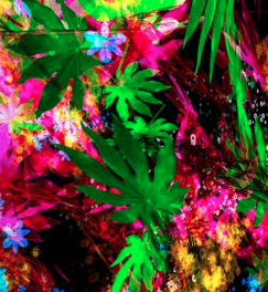 Conversations sous l'arbre pour regarder naître les fleurs avec Teva Vernoux