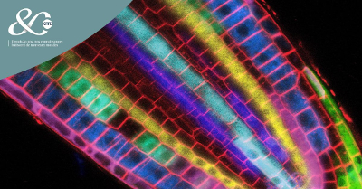 Étonnant vivant : de la poussière de comète aux organes bio-artificiels