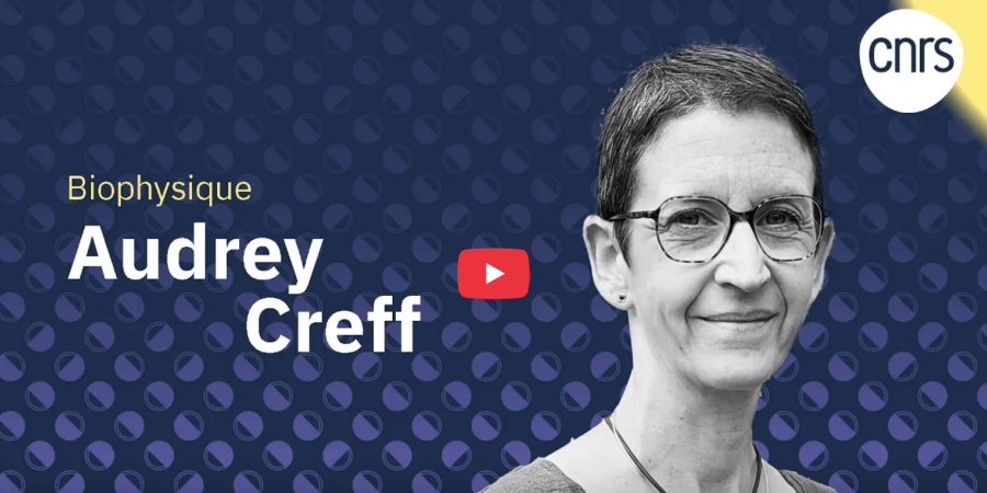 Retrouvez le portrait vidéo d'Audrey Creff, médaille de cristal du CNRS