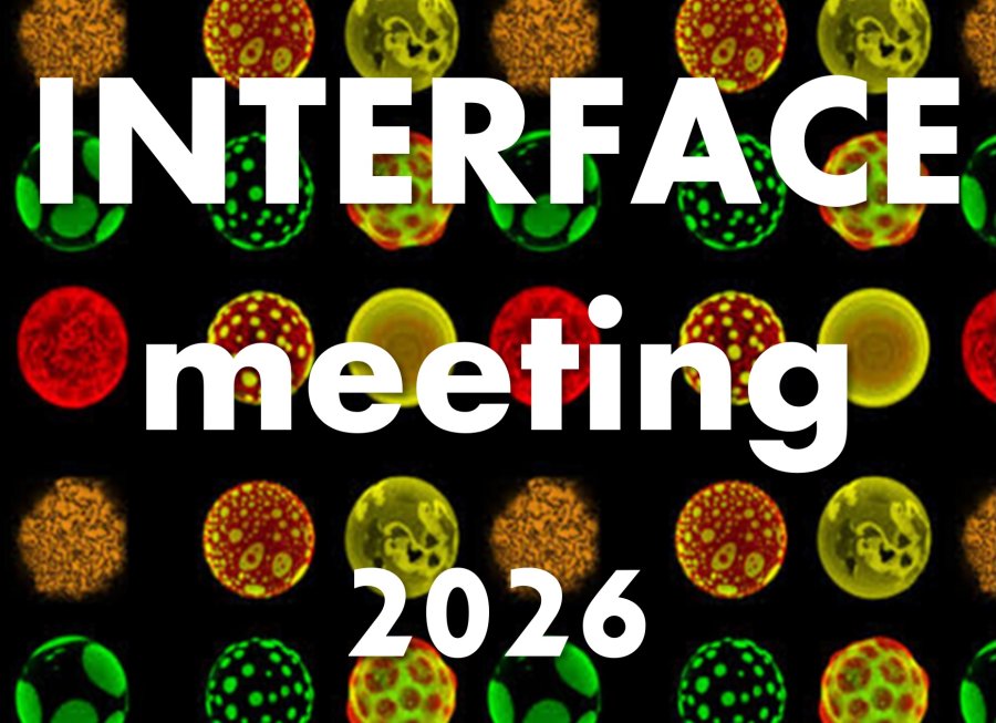 RDP Laboratory hosts the first in-person INTERFACE Meeting in Lyon, uniting the French plant membrane biology community