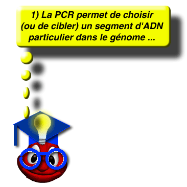 En resum suite ...