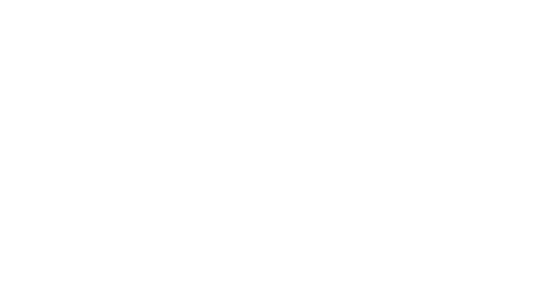  Logo CHELs 