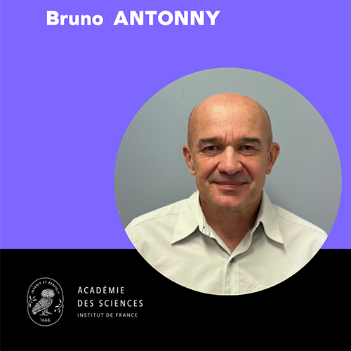 Bruno Antonny portrait