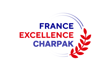 Charpak Scholarship