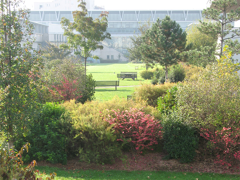 Garden in autumn