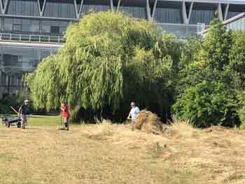 garden preparation