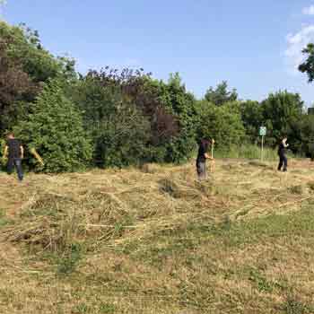 garden preparation