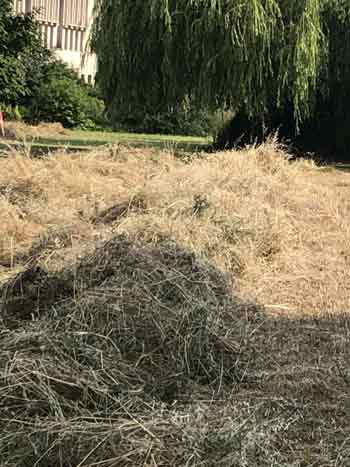 sheep's larder