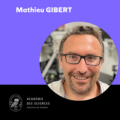 Mathieu Gibert portrait