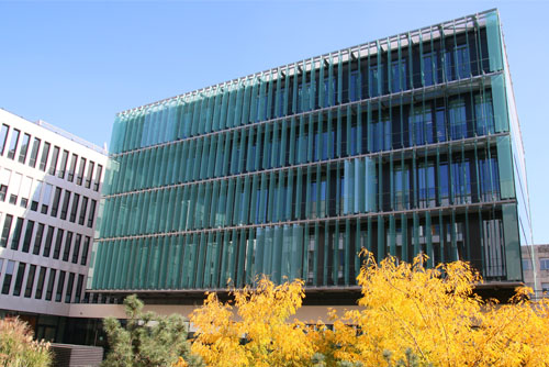 Université de Lyon