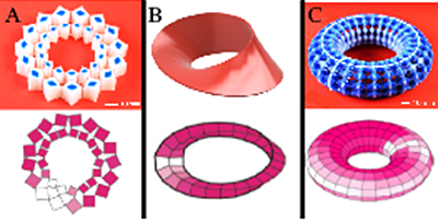 Figure _c_Xiaofei Guo et al