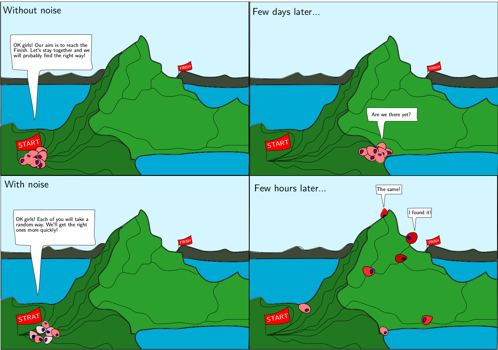 Cell's journey across the differentiation process