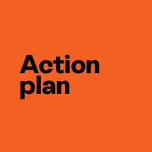 Action plan