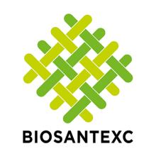 BSX logo