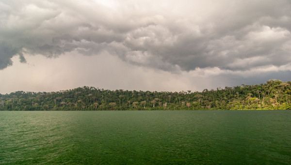 le lac Barombi Mbo
