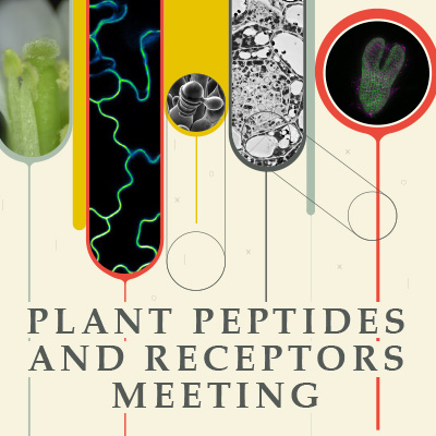 Consulter la page Plant Peptides and Receptors Meeting