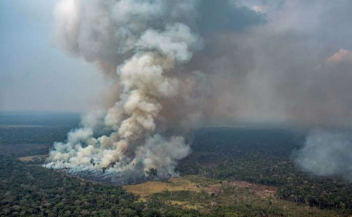Photo aérienne publiée par Greenpeace montrant la fumée des incendies de forêt
