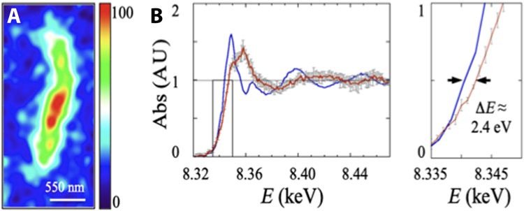 Nickel dans les filaments kérogeniques. (A) Carte de la distribution de Ni dans un micro-filament d'une coupe FIB de 3.1 µm d'épaisseur. (B) Spectres nano-XANES mesurés dans le filament (rouge) et dans un standard de NiO (bleu).