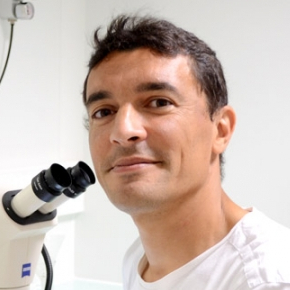 Directeur : Samir MERABET