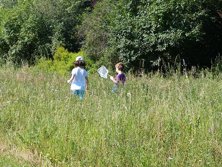 Enfants dans le jardin chassant les insectes