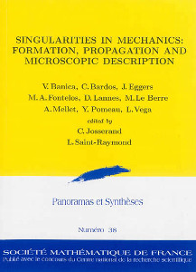 Singularities in Mechanics: Formation, Propagation and Microscopic Description