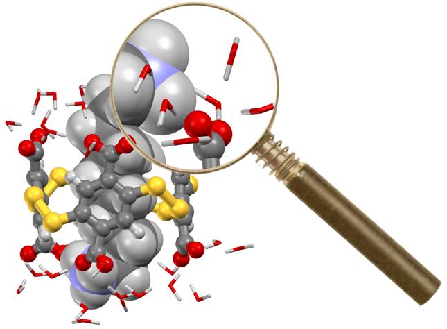 Exploration du rôle des molécules d’eau dans la formation de complexes d’inclusion entre polyélectrolytes