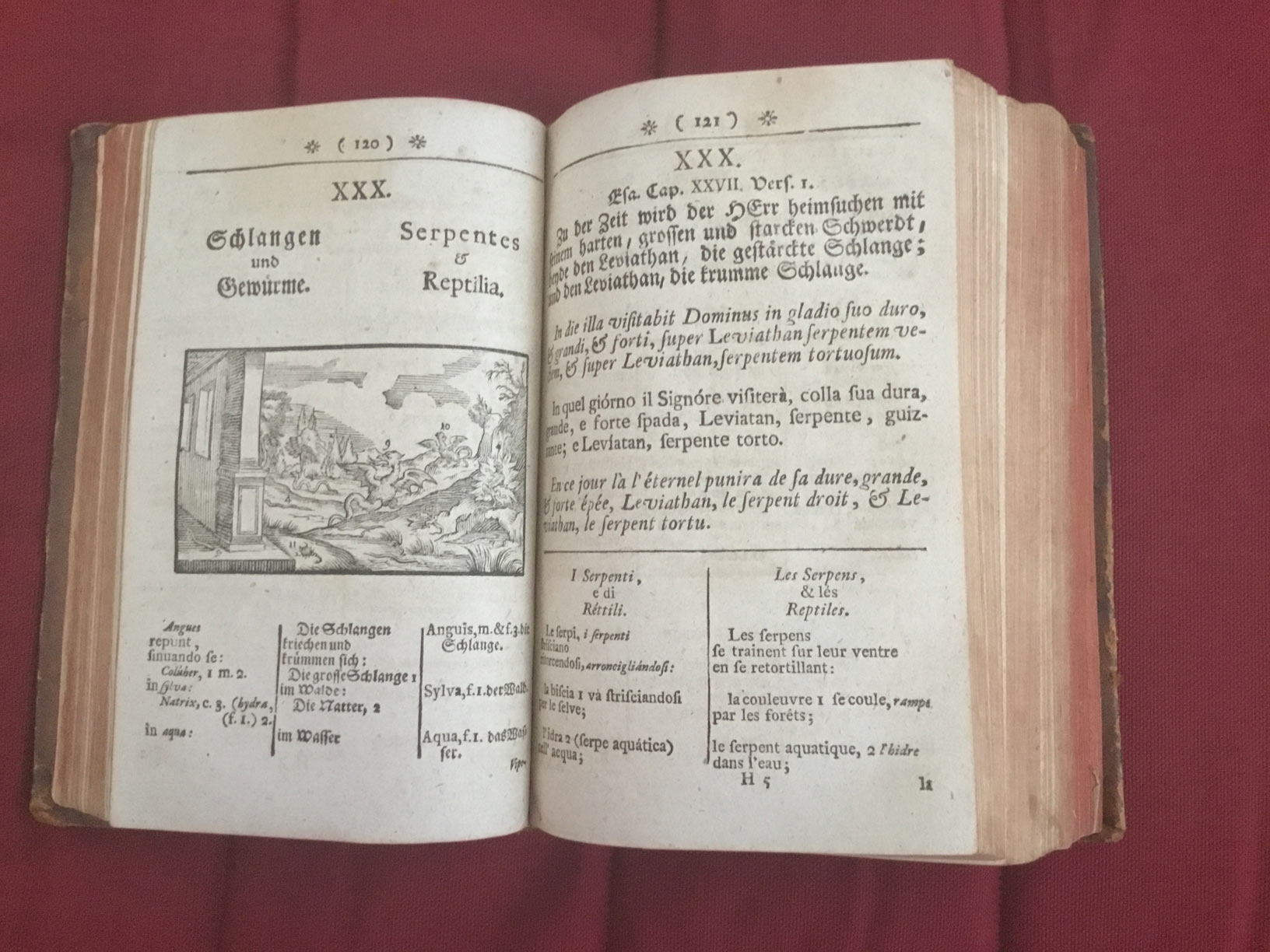Page intérieure du livre de Comenius La clé des langues