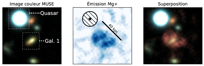 Observation d’une zone de l’Univers grâce à MUSE