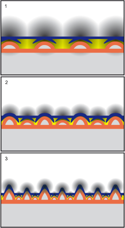 4. Trois stades de croissance simplifies à partir du modèle de développement des pseudodents, le long d’une mâchoire. En bleu, l’épithélium; en jaune, le mesenchyme; en orange, l’os; en gris le rayon d’action des champs morphogénétiques. © A. Louchart.