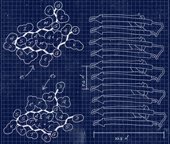 Détermination de structures à l’échelle atomique d’amyloïdes fonctionnels par spectroscopie de RMN du solide. © Benjamin Bardiaux.