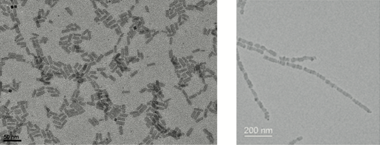  Figure 1 : Images de microscopie électronique à transmission (à gauche) de nanoplaquettes de CdSe isolées, à plat sur le substrat, et (à droite) de quelques fils de nanoplaquettes empilées observées sur la tranche (référence [2]).